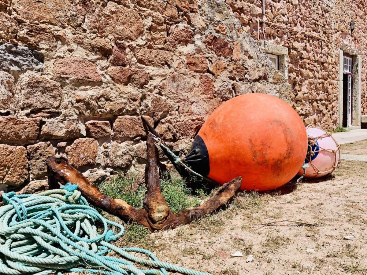 Berlengas Archipel - Ein Tagesausflug zum Inseltraum 16