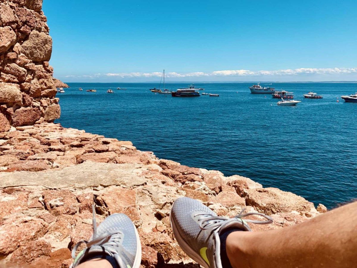 Berlengas Archipel - Ein Tagesausflug zum Inseltraum 17