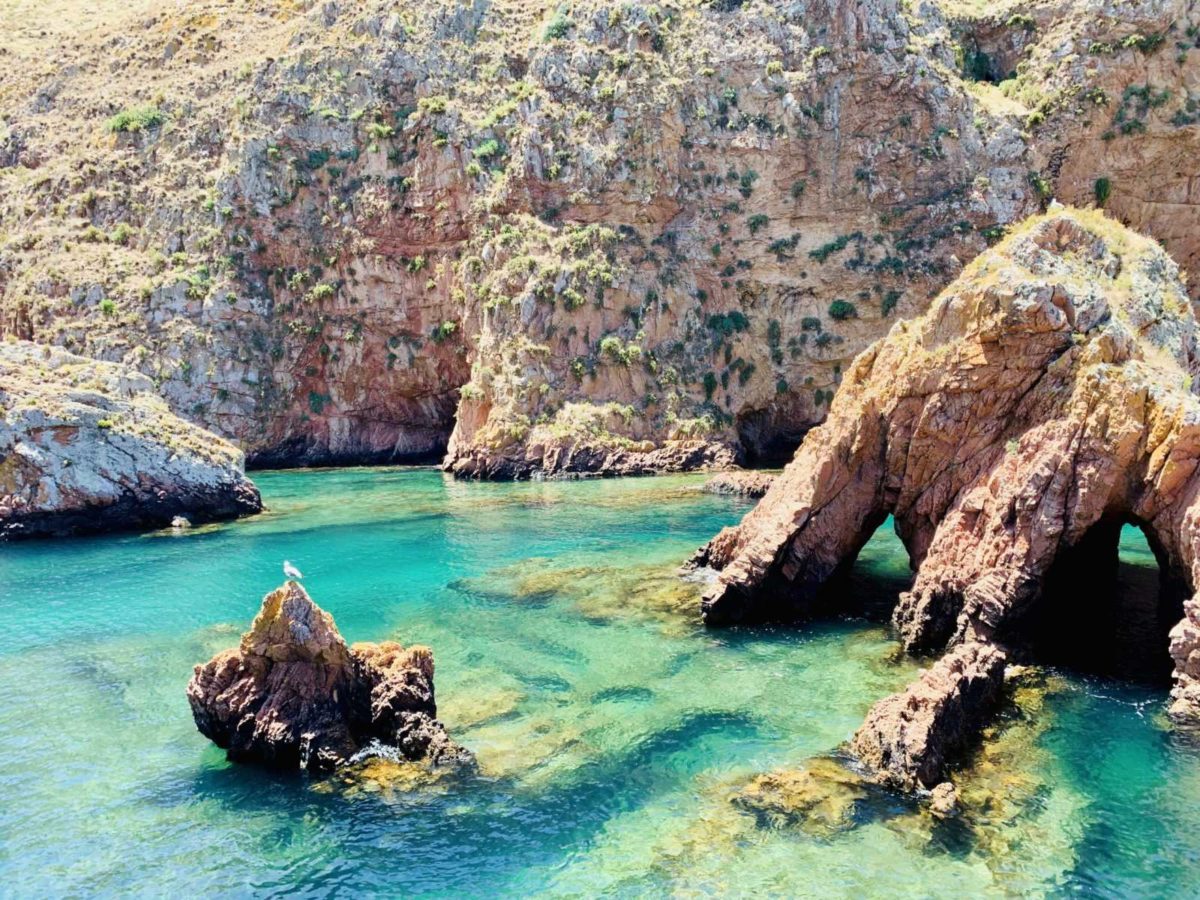 Berlengas Archipel - Ein Tagesausflug zum Inseltraum 18