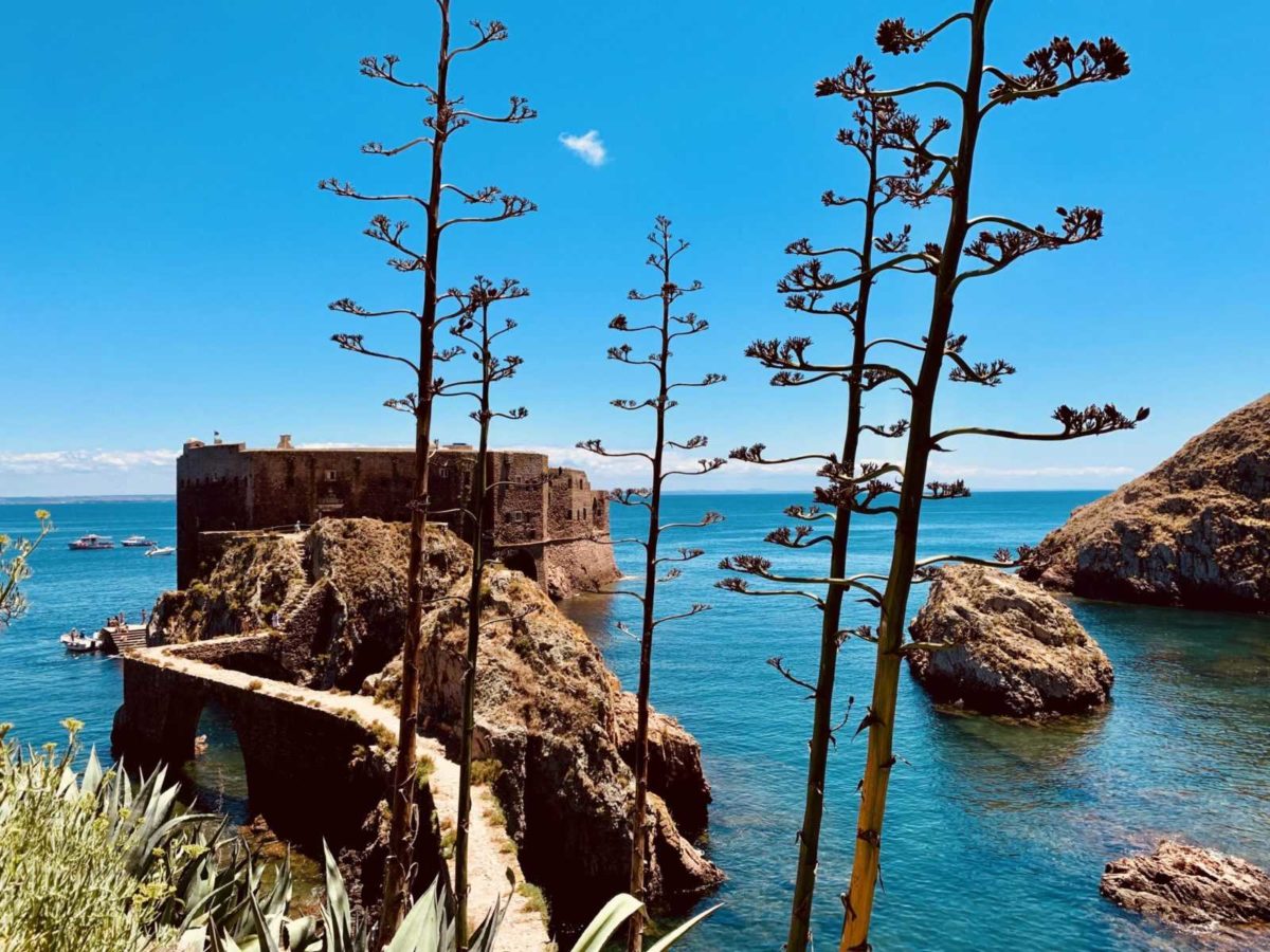 Berlengas Archipel - Ein Tagesausflug zum Inseltraum 20