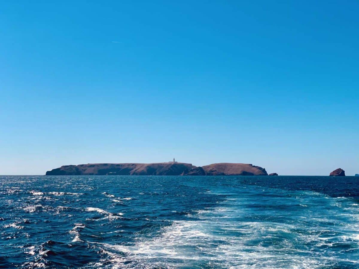 Berlengas Archipel - Ein Tagesausflug zum Inseltraum 27