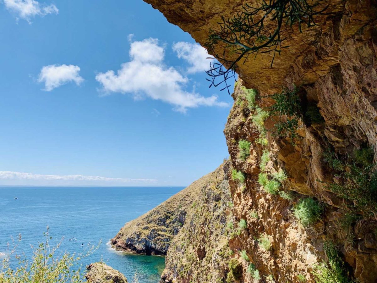 Berlengas Archipel - Ein Tagesausflug zum Inseltraum 12