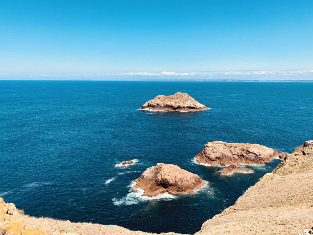 Berlengas Archipel - Ein Tagesausflug zum Inseltraum 28