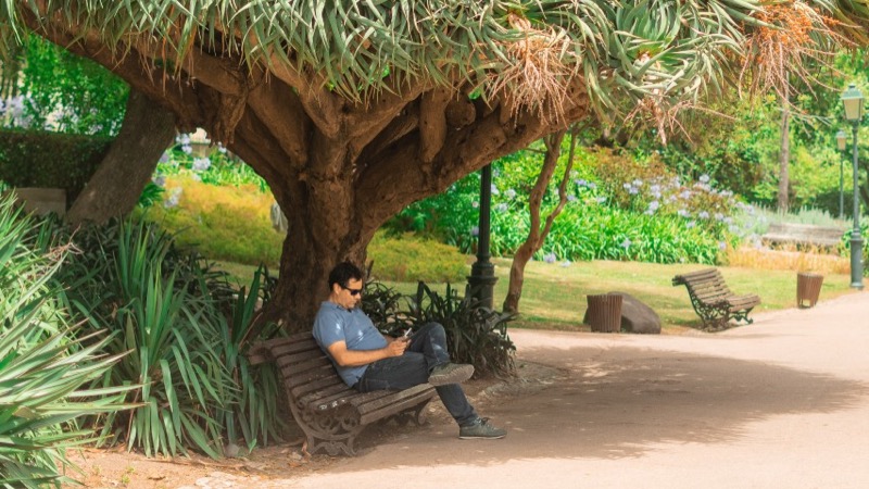 Jardim da Estrela